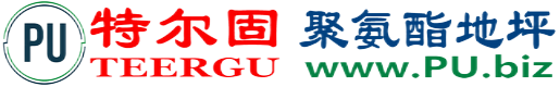 特尔固®清镇聚氨酯地坪